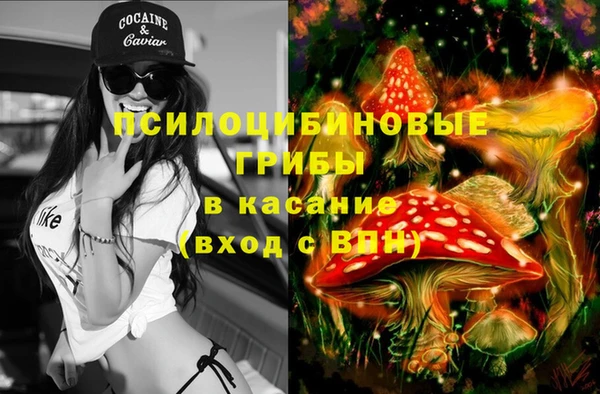 а пвп мука Липки